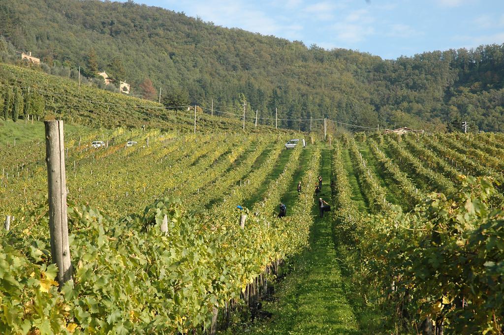 Fattoria Il Lago Dicomano Exterior photo